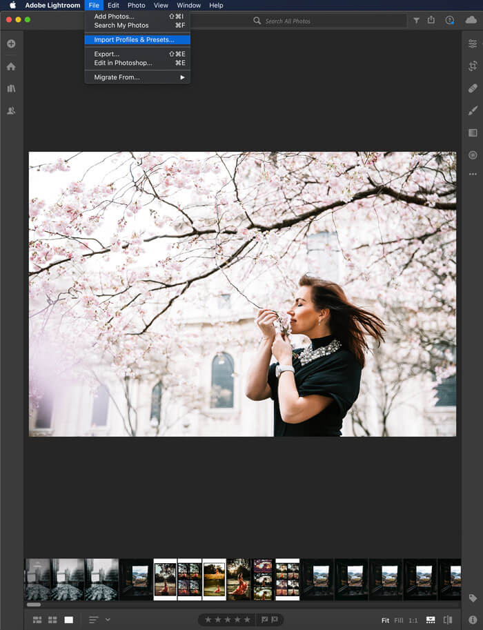 How-to-install-preset-on-Lightroom-mobile03