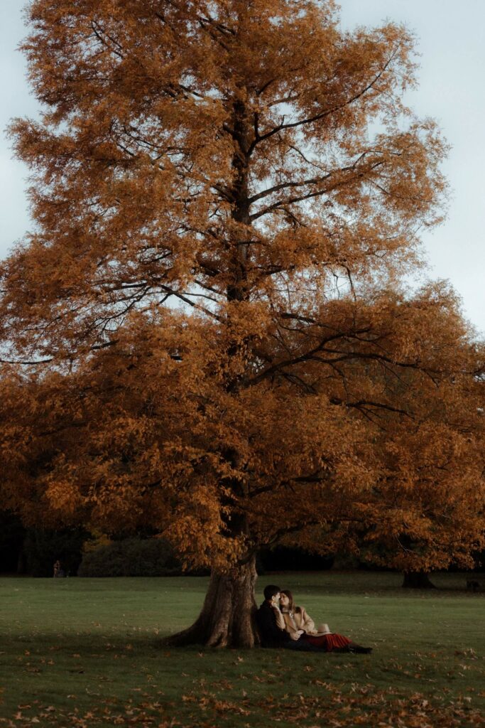 London-engagement-photographer-pergola-gardens5467